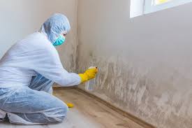 Best Comprehensive Air Testing for Mold Contaminants  in Shady Point, OK